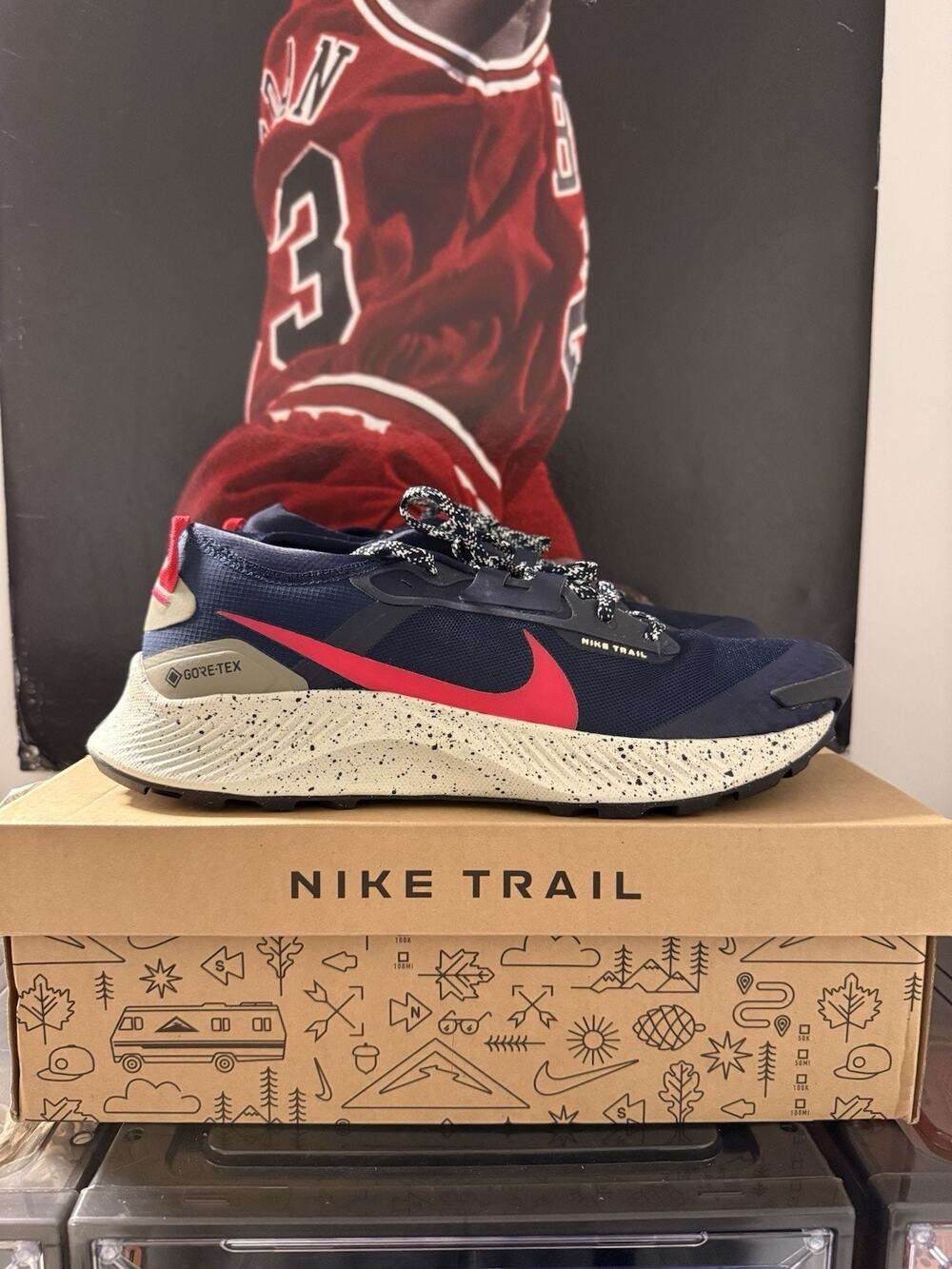 Nike Pegasus Trail 3 Gore-Tex GTX Obsidian Red DC8793-401 Men's Size 11 New